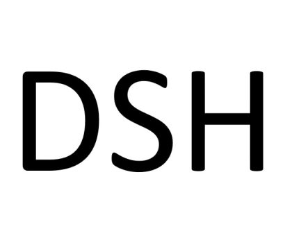 DSH-Workshop: Digitale Hilfsmittel zur Erstellung der DSH