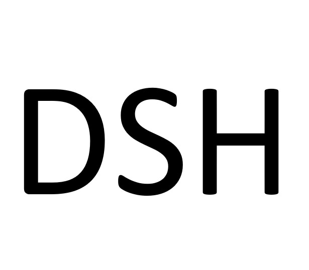 DSH-Workshop: Digitale Hilfsmittel zur DSH-Erstellung